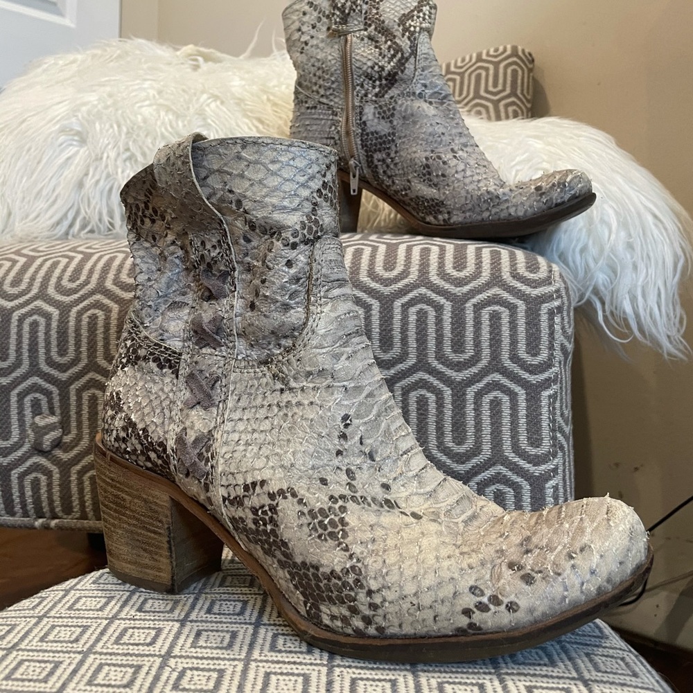 Manas Design Snake print leather booties